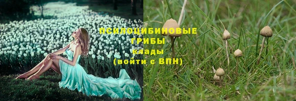 СК Верея