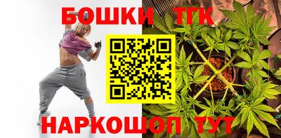 мдпв Гусев