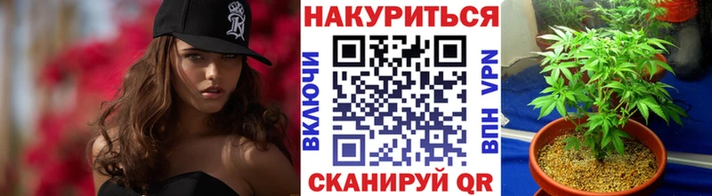Шишки марихуана AK-47  где купить наркоту  Камышлов 